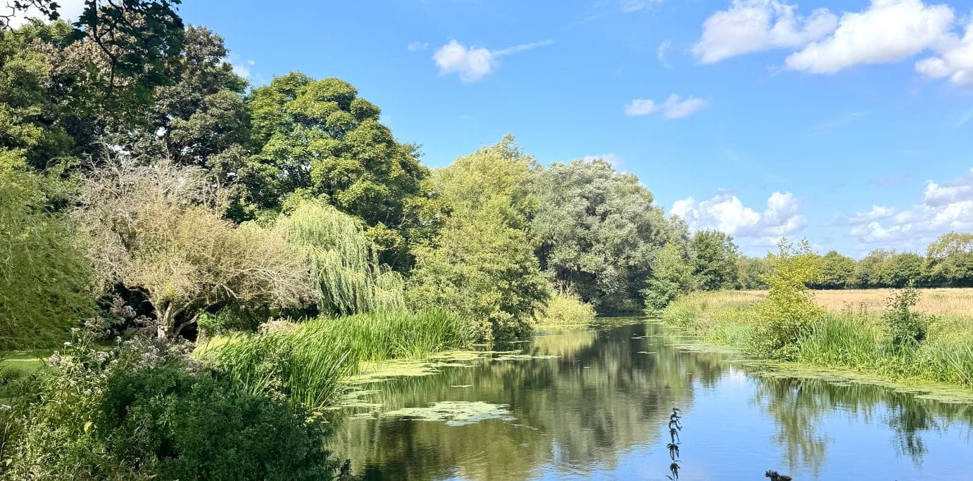Scenery in Dedham